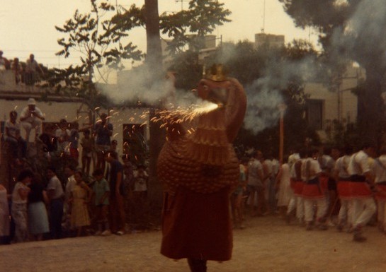 L’Àliga | Any: 1985 | Foto: ©Arxiu Sebastià Giménez