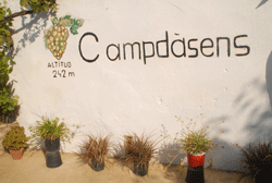 Festa Major Campdàsens 2015